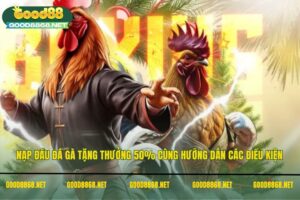 Nạp đầu đá gà tặng thưởng 50% cùng hướng dẫn các điều kiện