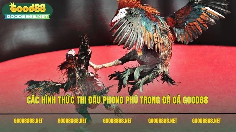 Các hình thức thi đấu phong phú trong đá gà Good88