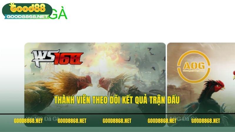Thành viên theo dõi kết quả trận đấu tại đá gà Good88