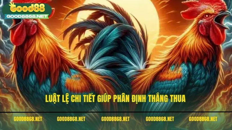 Luật lệ chi tiết giúp phân định thắng thua trong đá gà C3