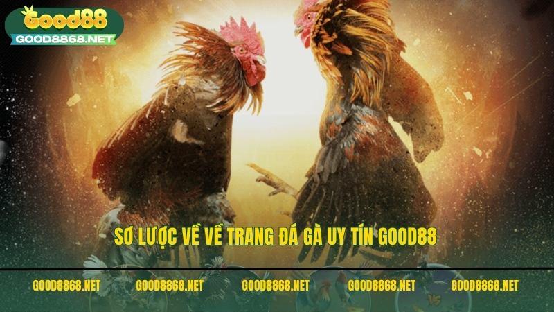 Sơ lược về về trang đá gà uy tín Good88