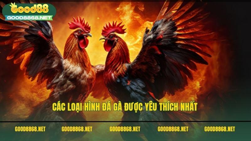 Các loại hình đá gà được yêu thích nhất trong trang đá gà uy tín Good88