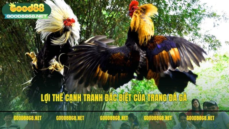 Lợi thế cạnh tranh đặc biệt của trang đá gà uy tín Good88