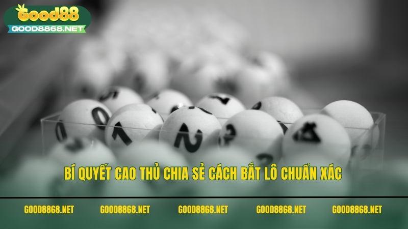 Bí quyết cao thủ chia sẻ cách bắt lô rơi chuẩn xác
