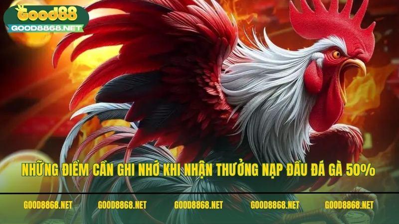 Những điểm cần ghi nhớ khi nhận thưởng nạp đầu đá gà nhận thưởng 50%
